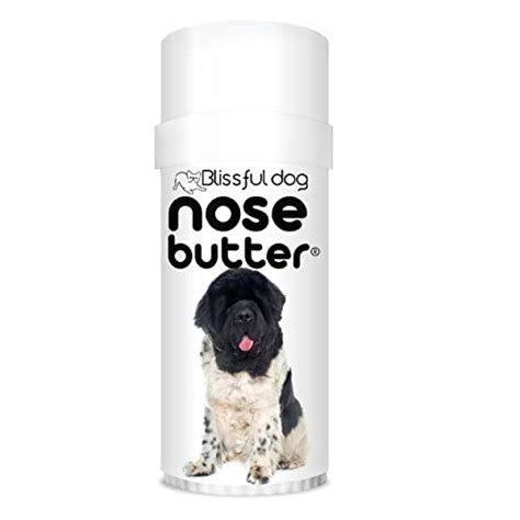 The Benefits Of A Natural Solution How Nose Butter Can Help Bulldogs