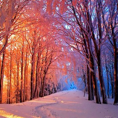 Winter Snow Scenery Pretty Sunset Christmas Winter
