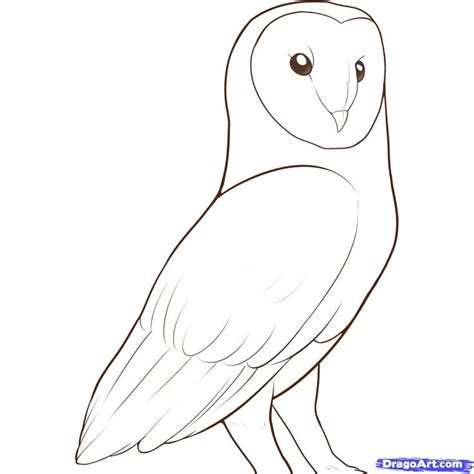 How To Draw A Barn Owl Step 11 1 000000046603 5  Block