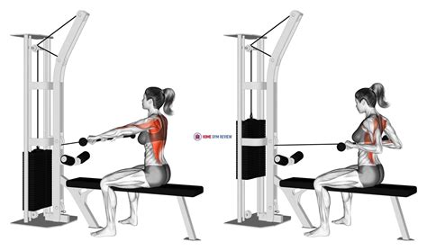 Cable Seated Row Female Home Gym Review