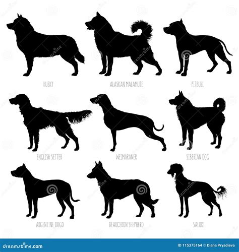 Dog Breeds Silhouettes Set High Detailed Smooth Vector Illustration