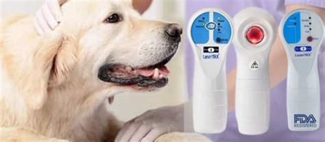 The Best Cold Laser Therapy For Dogs Review Of 2024 Top 10 Cold