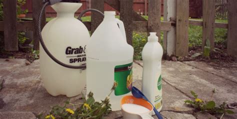 Thanks for watching :) weed killer recipe 1: How to Use Vinegar to Kill Weeds