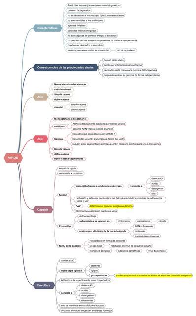 Mapa Conceptual De Los Virus Udocz