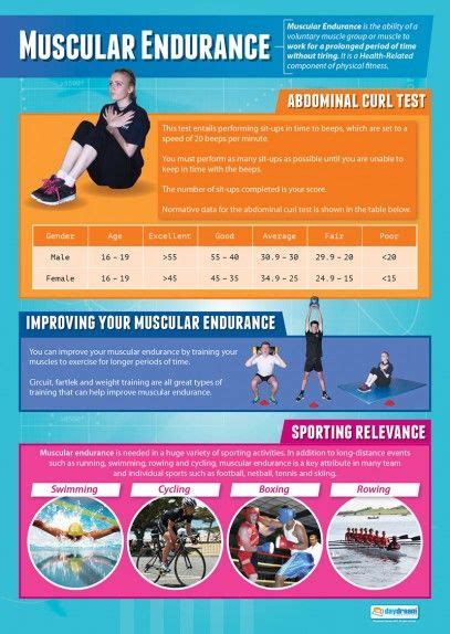 Muscular Endurance Physical Education School Posters Physical