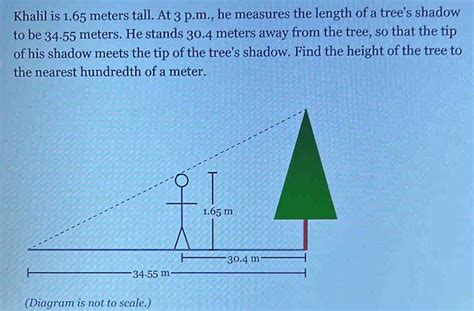 Khalil Is 165 Meters Tall At 3 Pm He Measures The Length Of A Tree