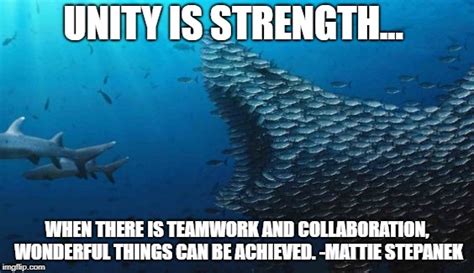 Unity Is Strength Story With Pictures