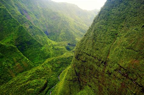 These cat names are perfect for your new bundle of fur. The fascinating origins behind 7 famous Hawaiian place ...