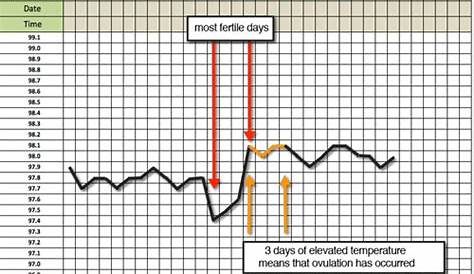 Examples Of Ovulation Charts