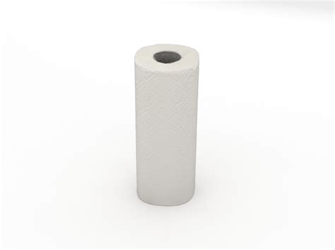 3d Paper Towel Roll Turbosquid 1448568