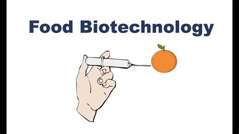 What Is Food Biotechnology Youtube