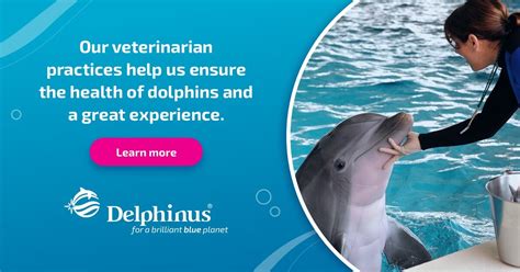 Dolphin Veterinary Care Delphinus