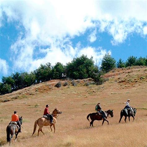 Horseback Ride To Cerro Frias Wanderlust Expediciones