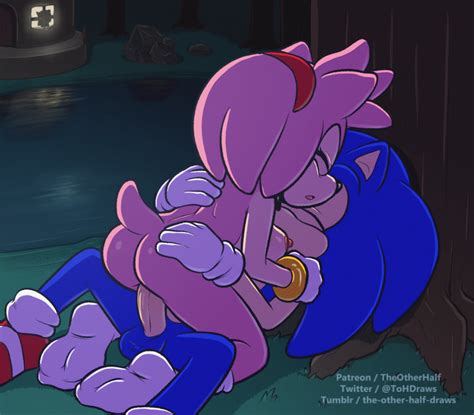 Theotherhalf Amy Rose Sonic The Hedgehog Animated Dingusdnagus