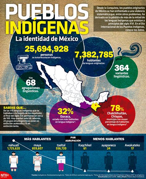 Hoy Tamaulipas Infografía Pueblos Indígenas La Identidad De México