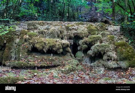 Moss Covered Stones In The Woods Stock Photo Alamy