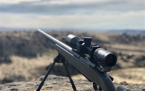 Top 5 Best Varmint Scope On The Market In 2022 Reviews And Buying Guide