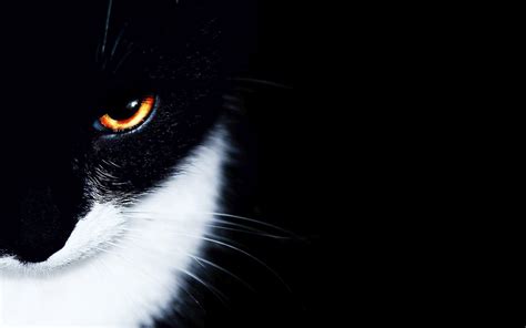 Simple Black and White Wallpapers - Top Free Simple Black and White