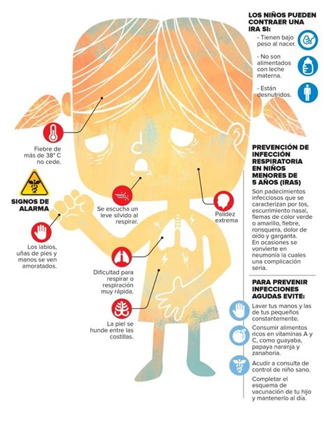 Enfermedades Respiratorias Y Sus Sintomas