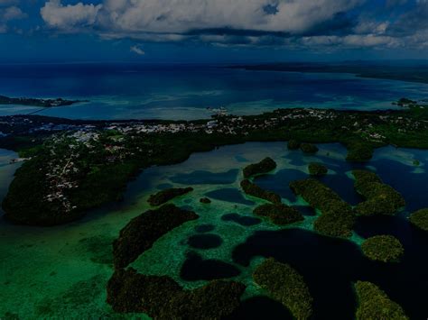 Palau The Coral Reef Paradise