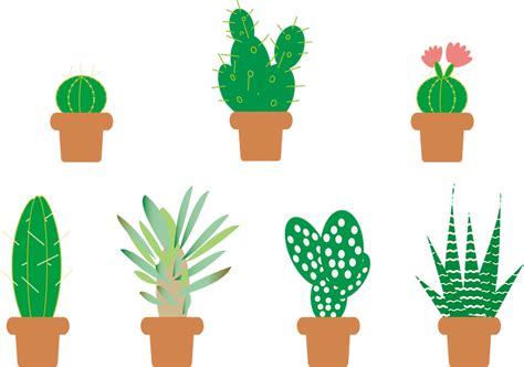 Cactus Plant Vector Free Download Creazilla