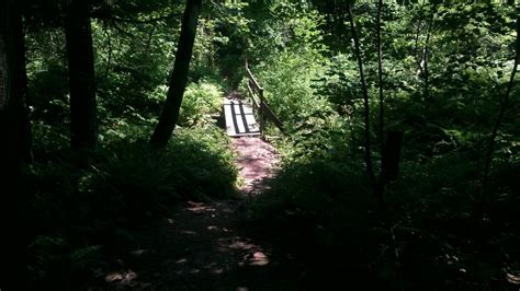 Sherwood Forest Conservation Area Maine Trail Finder