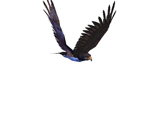 Animated  By Jeroen1435 Cool Animated S Birds Flying Animated
