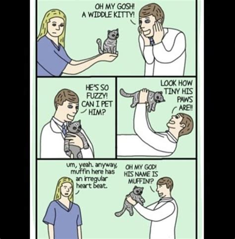 This Would Be Me As A Vet Funny Cats Funny Animals Cute Animals