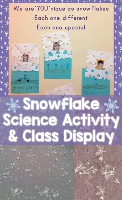 Snowflake Science Snowflake Classroom Display Dengan Gambar