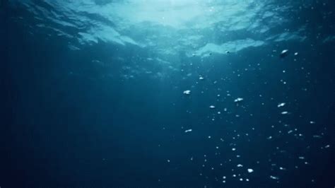 Underwater Gif Animation