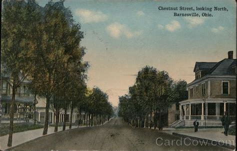 Chestnut Street Looking North Barnesville Oh Postcard