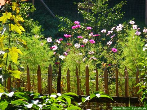 Einen Bauerngarten Planen Anlegen Und Bepflanzen