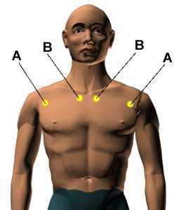 They enable you to visualize the different types of roles in a. Acupressure Points for Relieving Asthma and Breathing ...