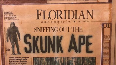 'In The Everglades, Anything Is Possible': Legend Of Florida's Skunk