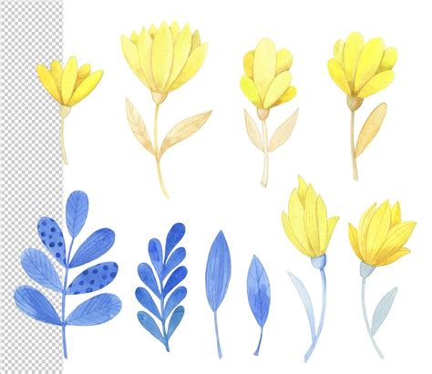 Premium Psd Set Of Flowers And Leaves In Blue And Yellow Watercolors