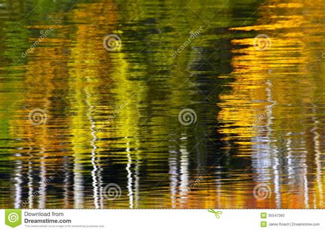 Abstract Trees Water Reflection Stock Photo Image Of
