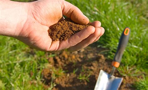 Steps For Sampling And Improving Your Soil The Tree Care Guide