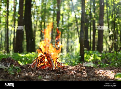 Bonfire In The Forest Stock Photo Alamy