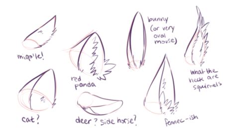 How To Draw Cat Ears Tumblr Drawing Ideas