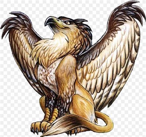 Griffin Lion Legendary Creature Dragon Werewolf Png 1600x1502px
