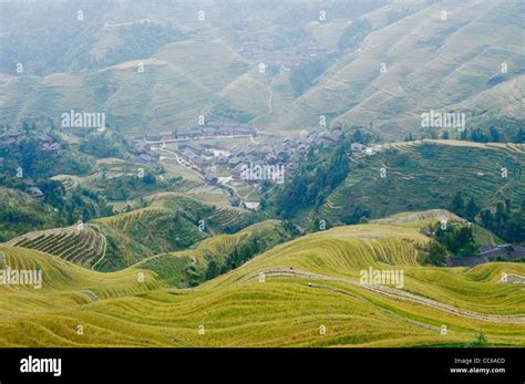 Jinkeng Rice Terraces Guilin Guangxi China Stock Photo Alamy