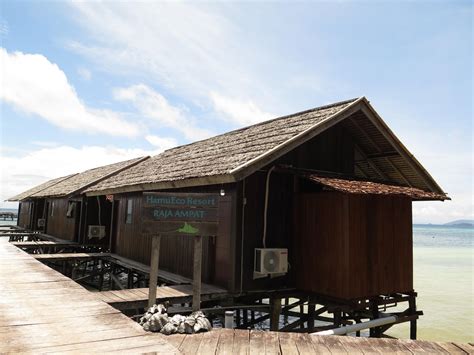 Raja Ampat Island Hotels Find Raja Ampat Island Deals And Discounts Klook
