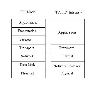 Perbedaan Model Osi Dan Tcpip Vrogue Co