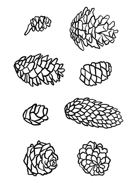 Pine Cone Coloring Pages