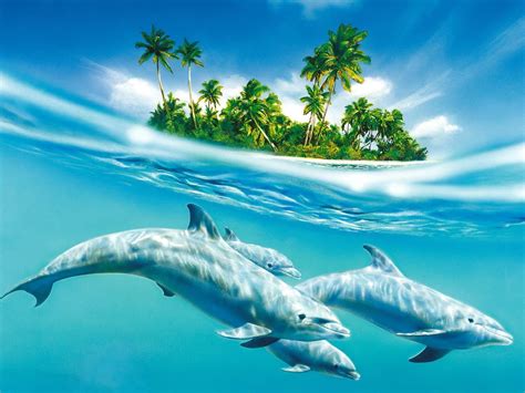 free dolphin wallpapers for desktop wallpaper cave