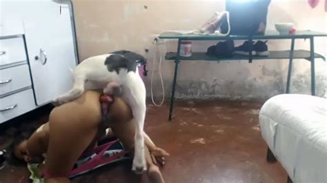 Sexy Depraved Babe Became A Bitch For A Horny Dog Amateur Beastiality