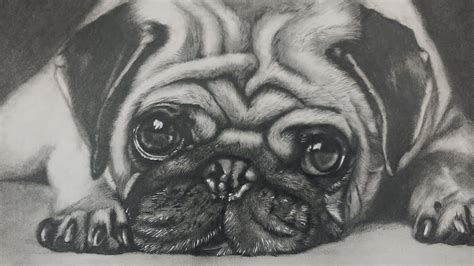 Https://techalive.net/coloring Page/realistic Pug Coloring Pages