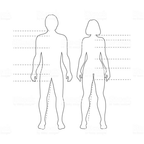 man and woman human body silhouettes with pointers vector isolated silueta del cuerpo