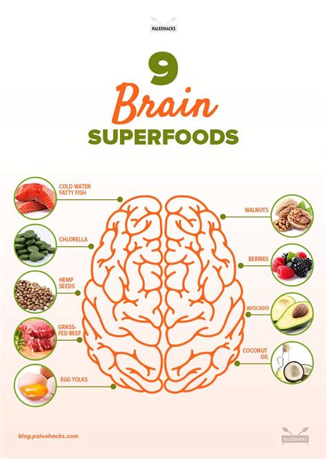 The Best Brain Food To Sharpen Your Memory And Focus