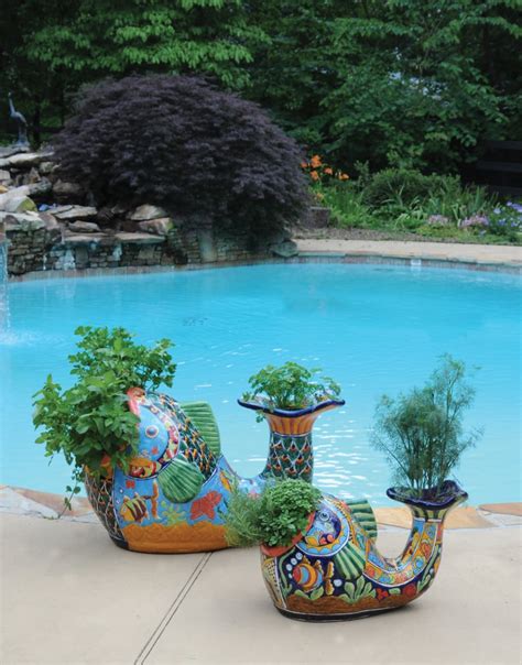 Photos Of Edible Container Gardens Pamela Crawford Palm Beach Landscape